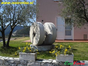 DSC01891